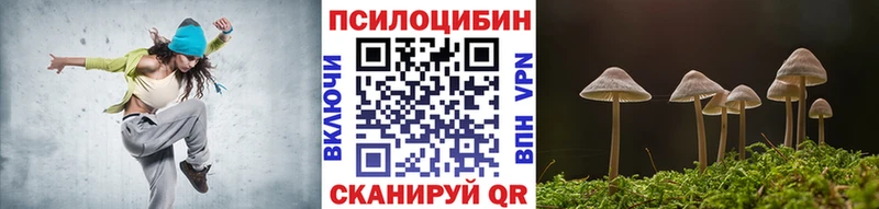 где купить наркотик  Нижний Тагил  Псилоцибиновые грибы прущие грибы 